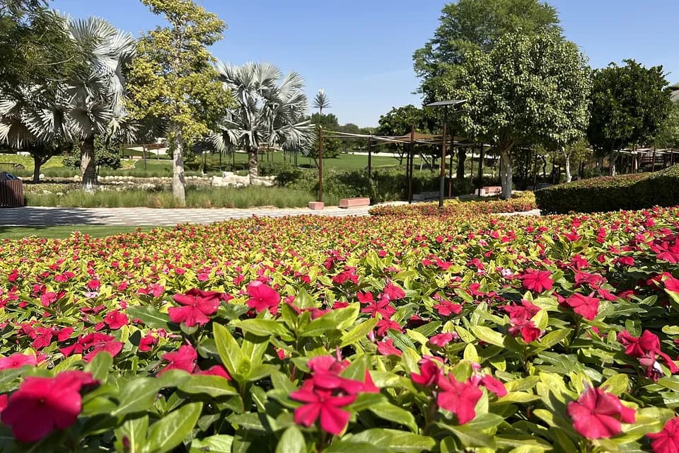 Flower garden