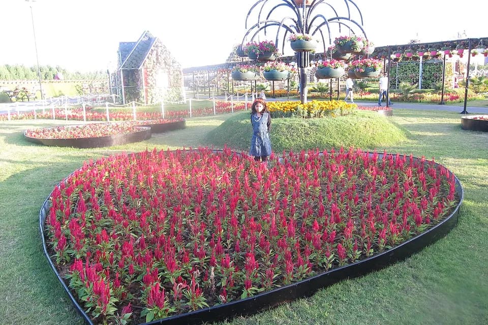 Garden