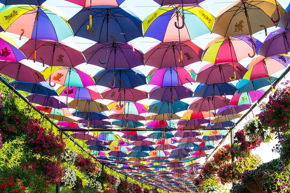 UMBRELLA